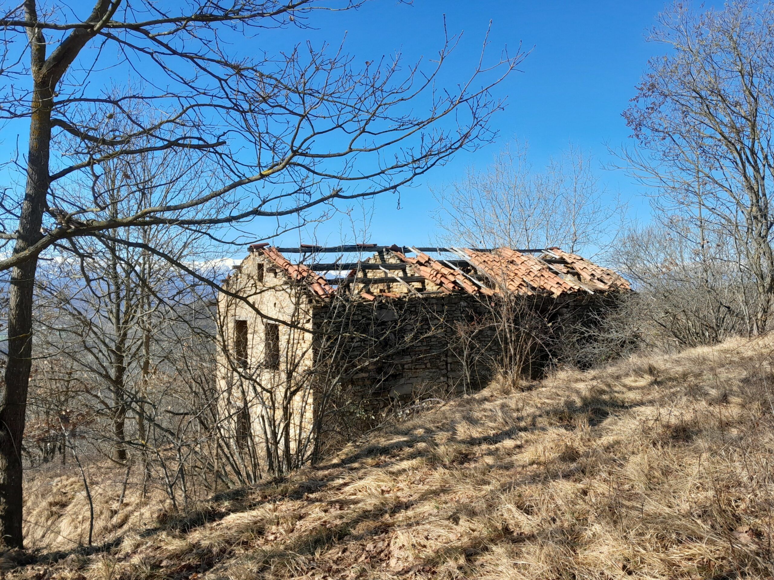 Torresina 2