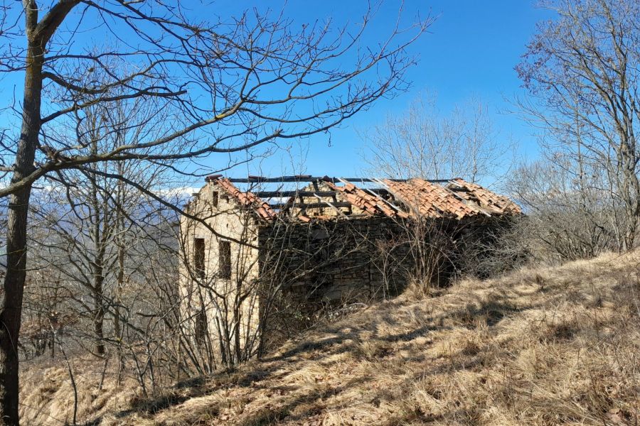 Torresina 2